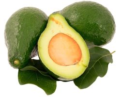 avocado-3617840_960_720